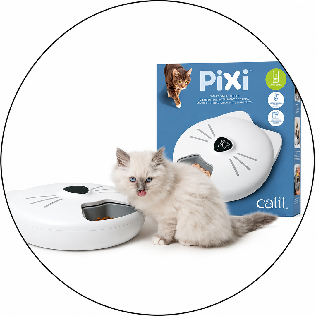 Ciotole e Dispenser - Gatto