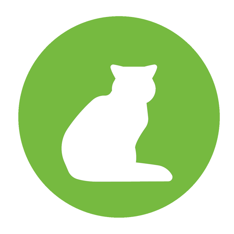 Natural Code - Cibo umido Gatto