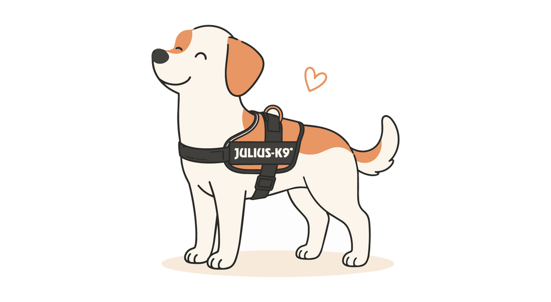 Julius K9 - Extra 15% automatico al carrello