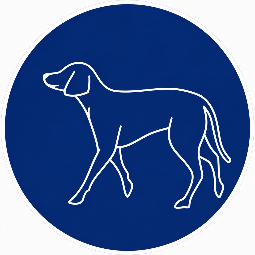 Monge - Cane