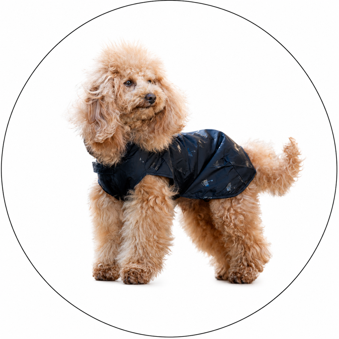Abbigliamento - Cane