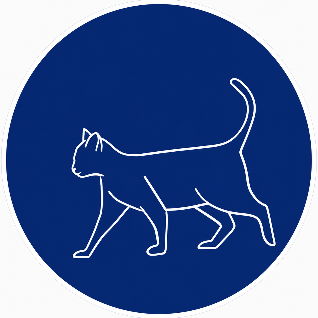 Monge - Gatto