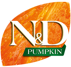 N&D - Pumpkin