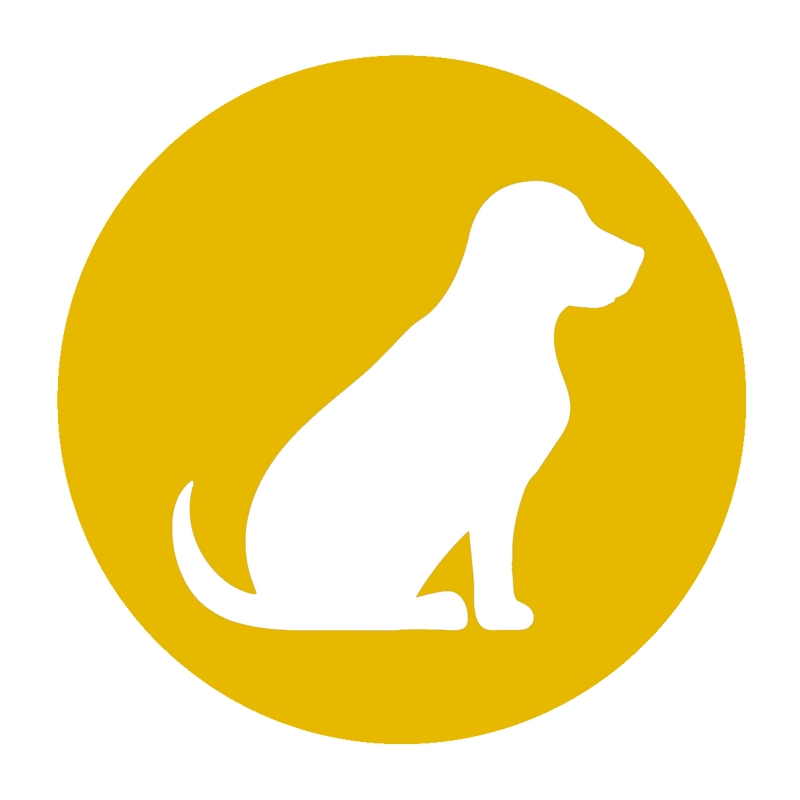 Natural Code - Cibo umido Cane