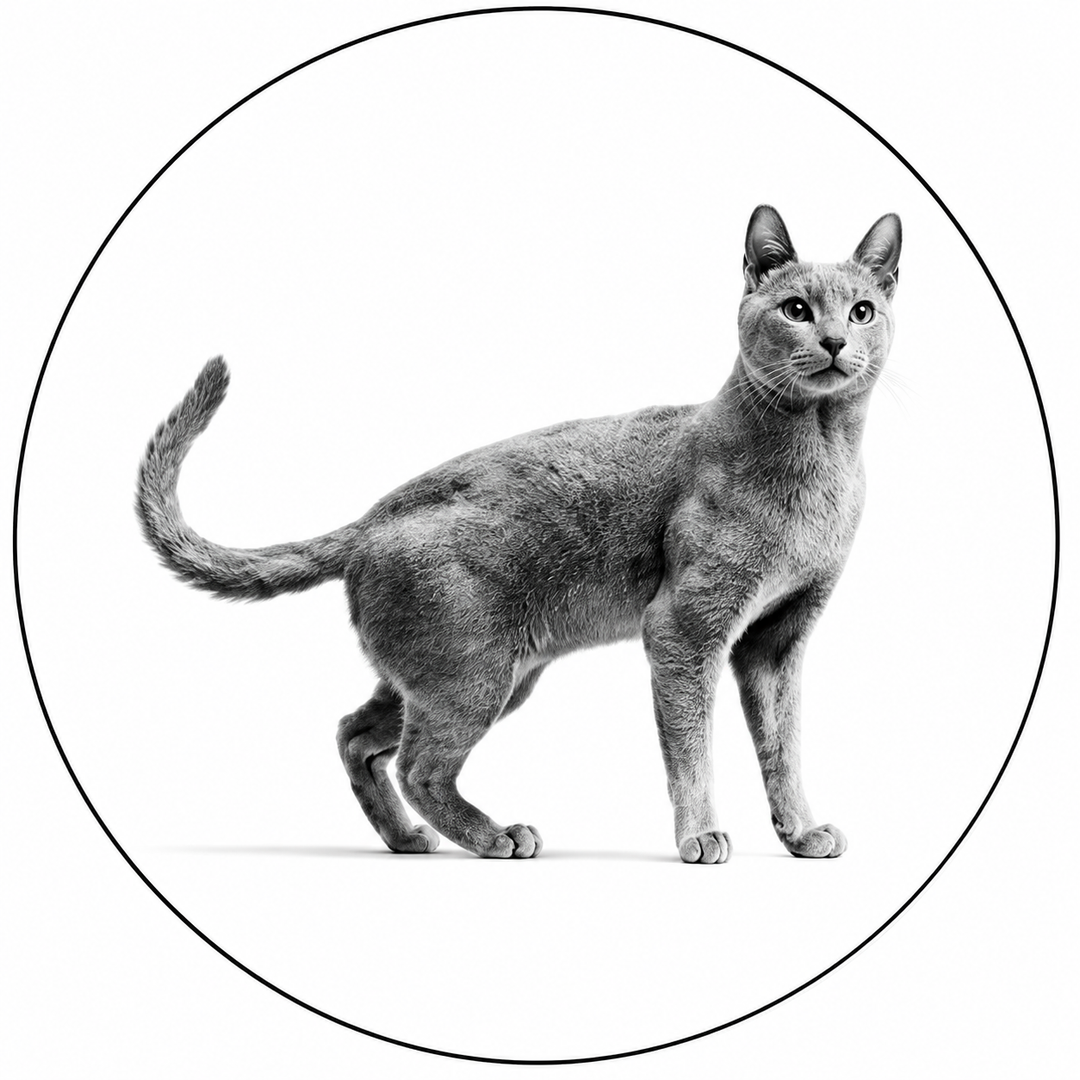 Royal Canin - Hypoallergenic Gatto