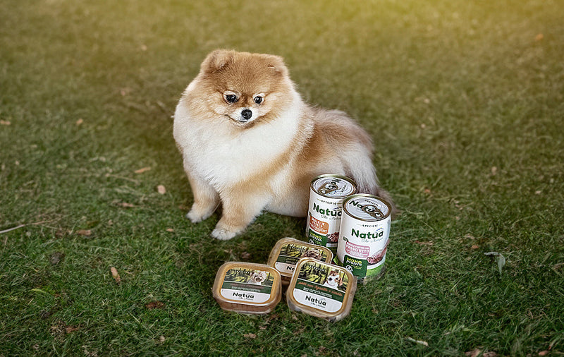 Natua - Cane