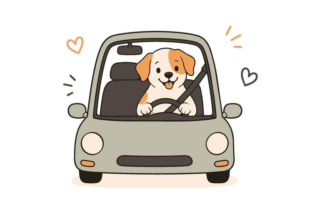 ACCESSORI AUTO E VIAGGIO