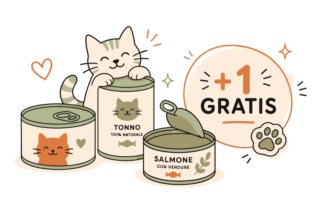 Cibo Umido - Gatto