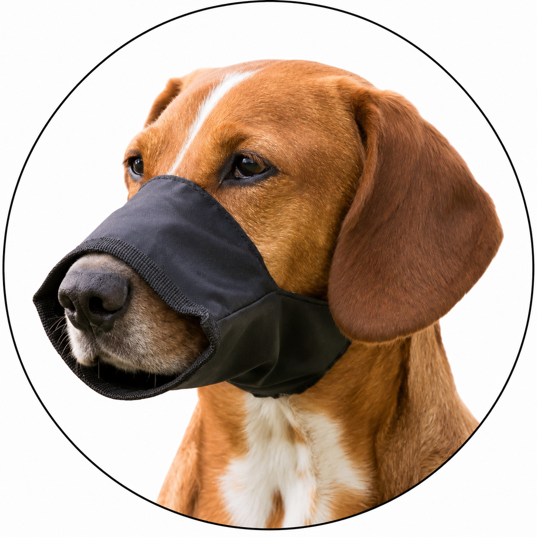 Museruole - Cane