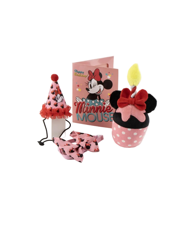 Disney - Set di Compleanno Minnie