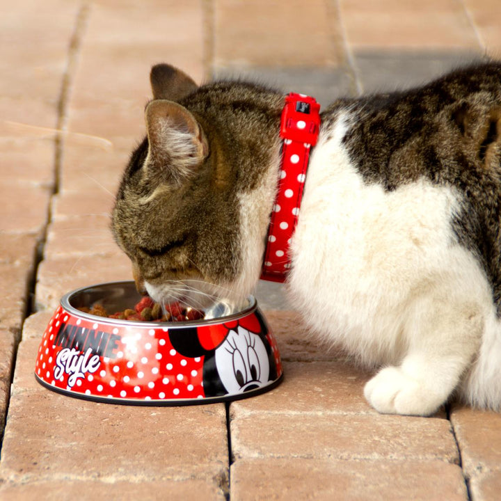 Disney - Ciotola per Cane Tg.M Minnie