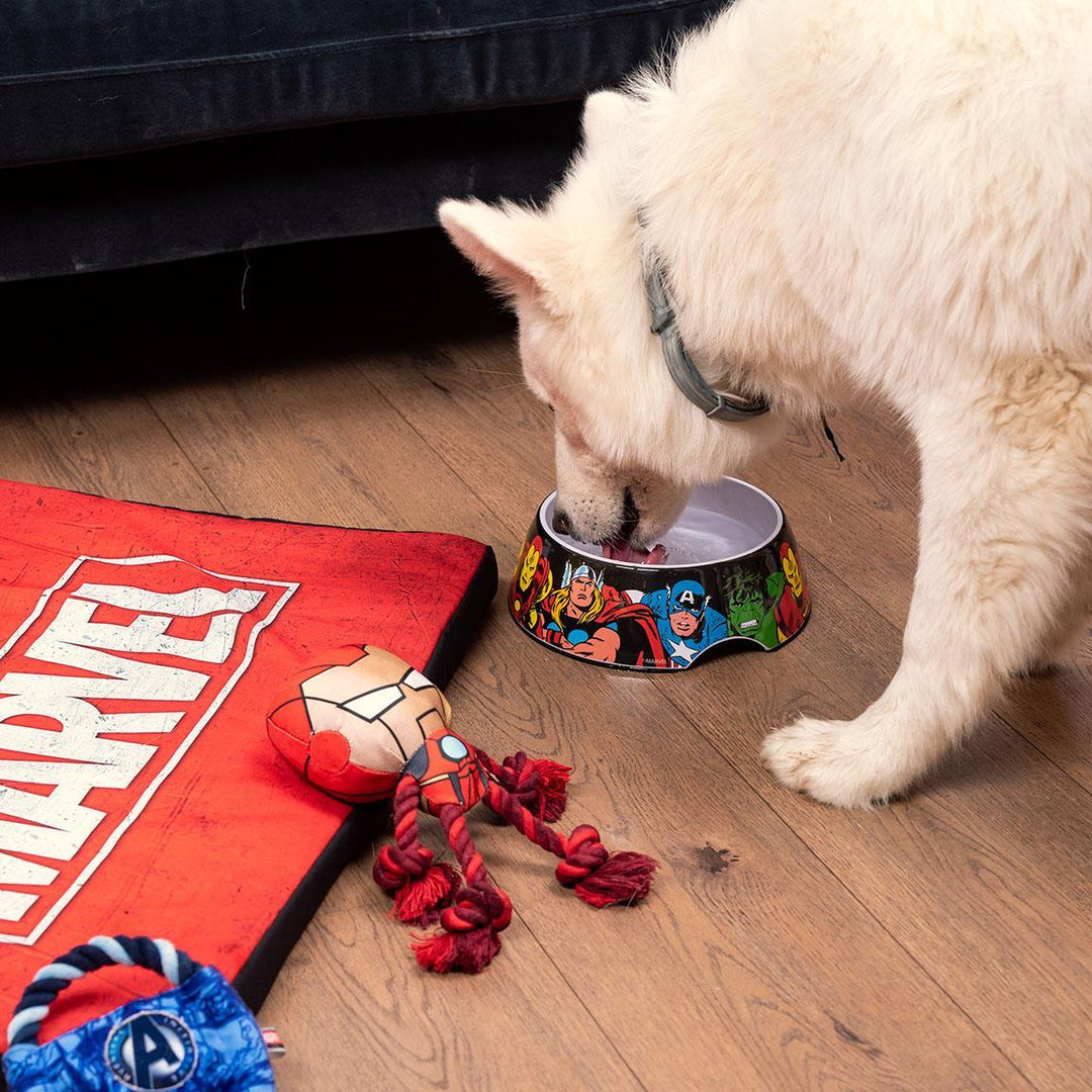 Marvel - Ciotola per Cane Marvel Tg.L