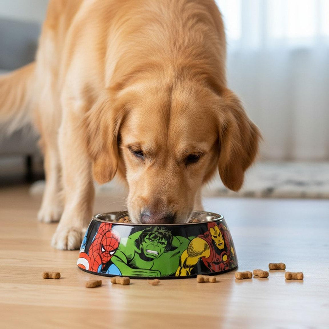 Marvel - Ciotola per Cane Marvel Tg.L