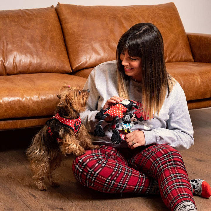 Disney - Gioco per Cane in Corda Minnie