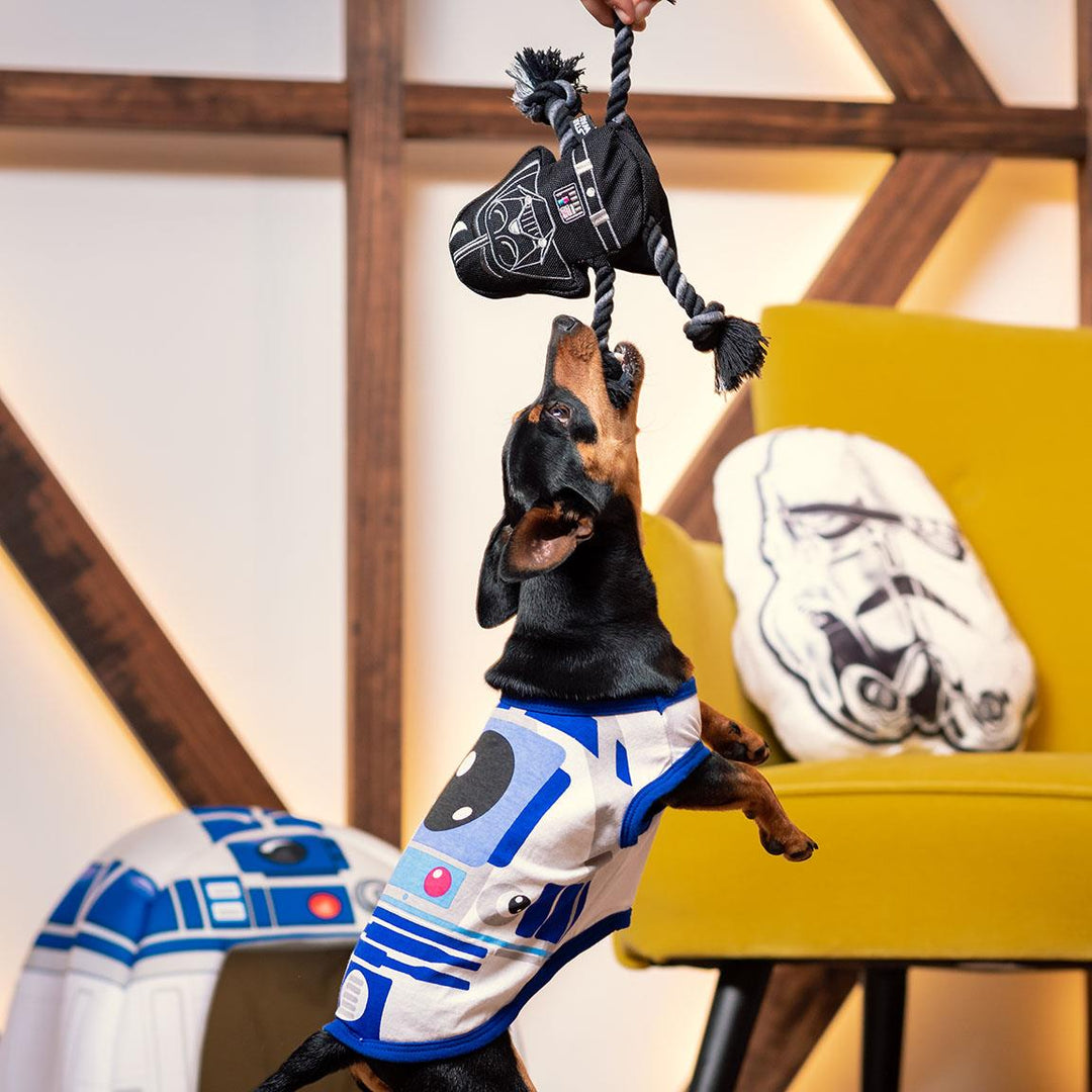 Disney - Gioco per Cane con Corda  Star Wars