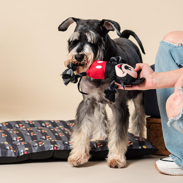 Disney - Gioco in Corda Mickey Mouse