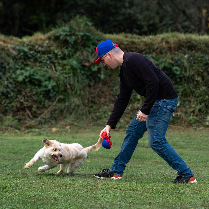 Marvel - Gioco per Cane Palla Spiderman