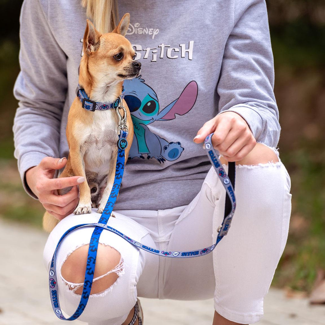 Disney - Collare per Cani M/L Stitch
