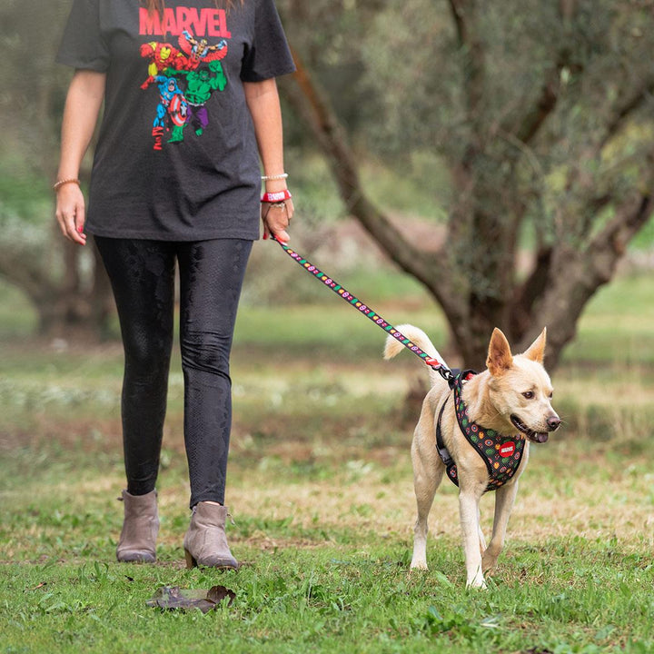 Marvel - Guinzaglio per Cani Tg.M Avengers