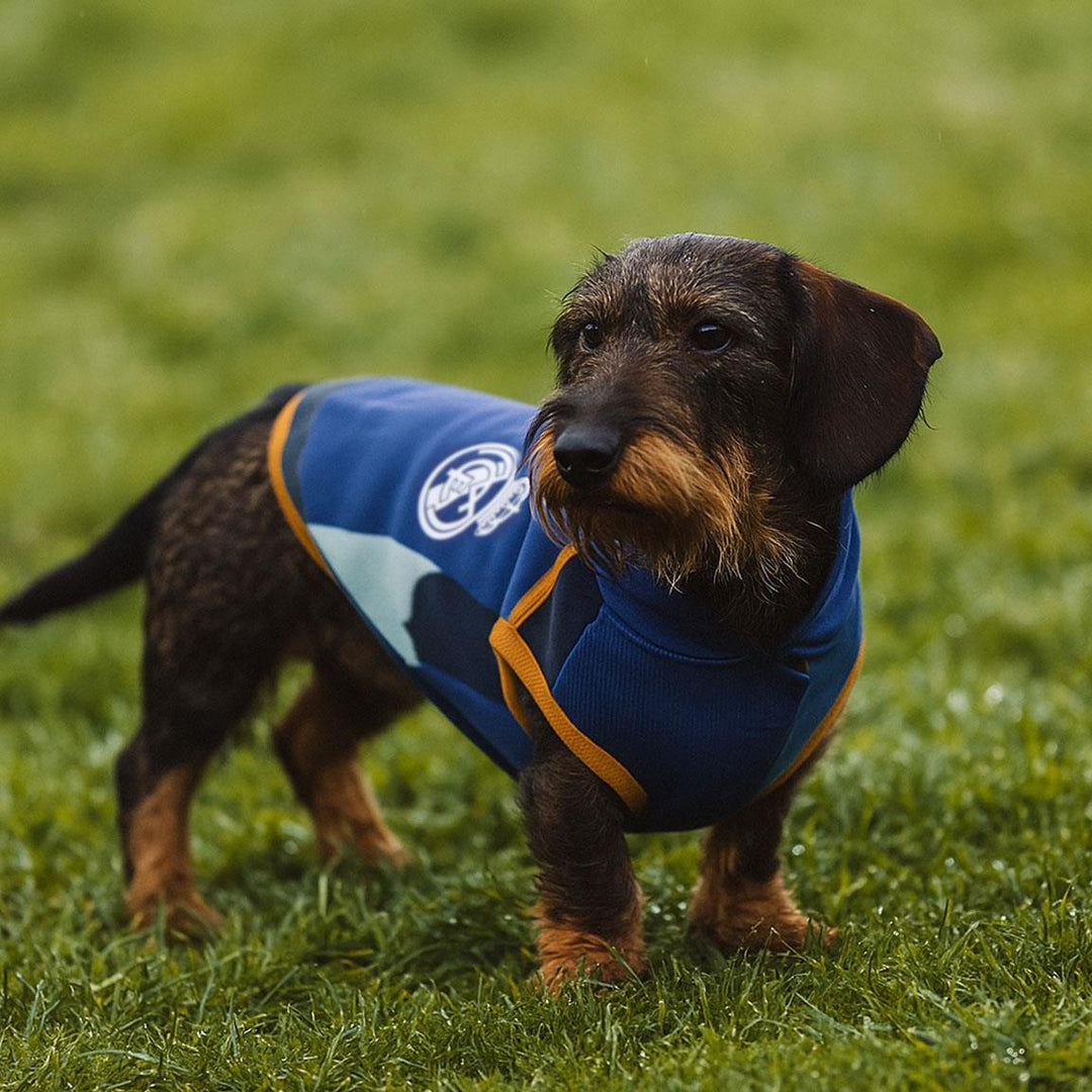 Real Madrid - Felpa per Cani Polar Fleece Real Madrid