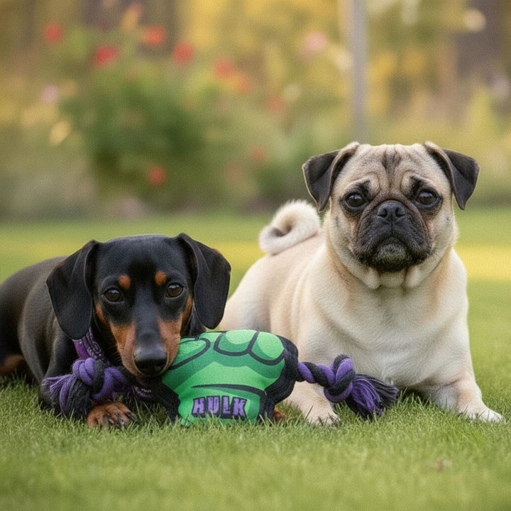 Marvel - Gioco in Corda per Cani Hulk