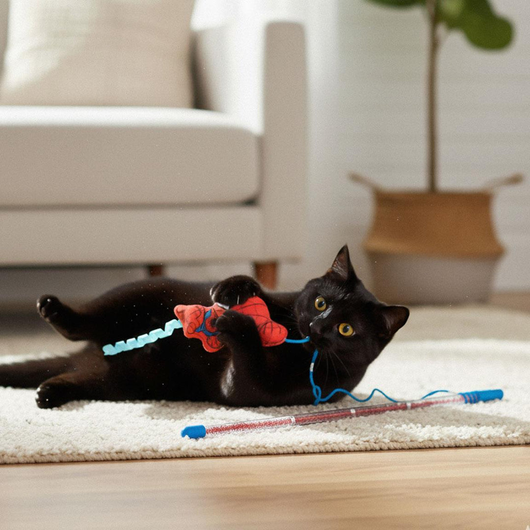 Marvel - Bacchetta per Gatti Spiderman