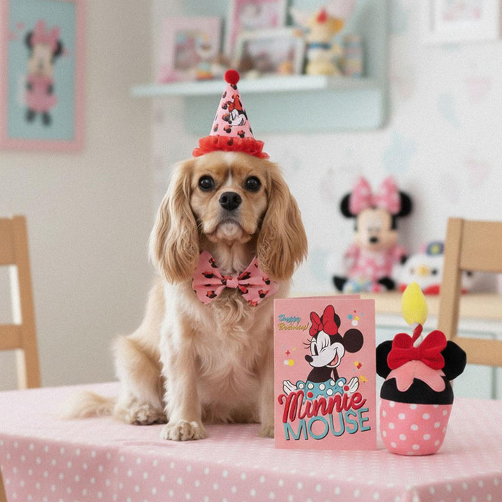 Disney - Set di Compleanno Minnie