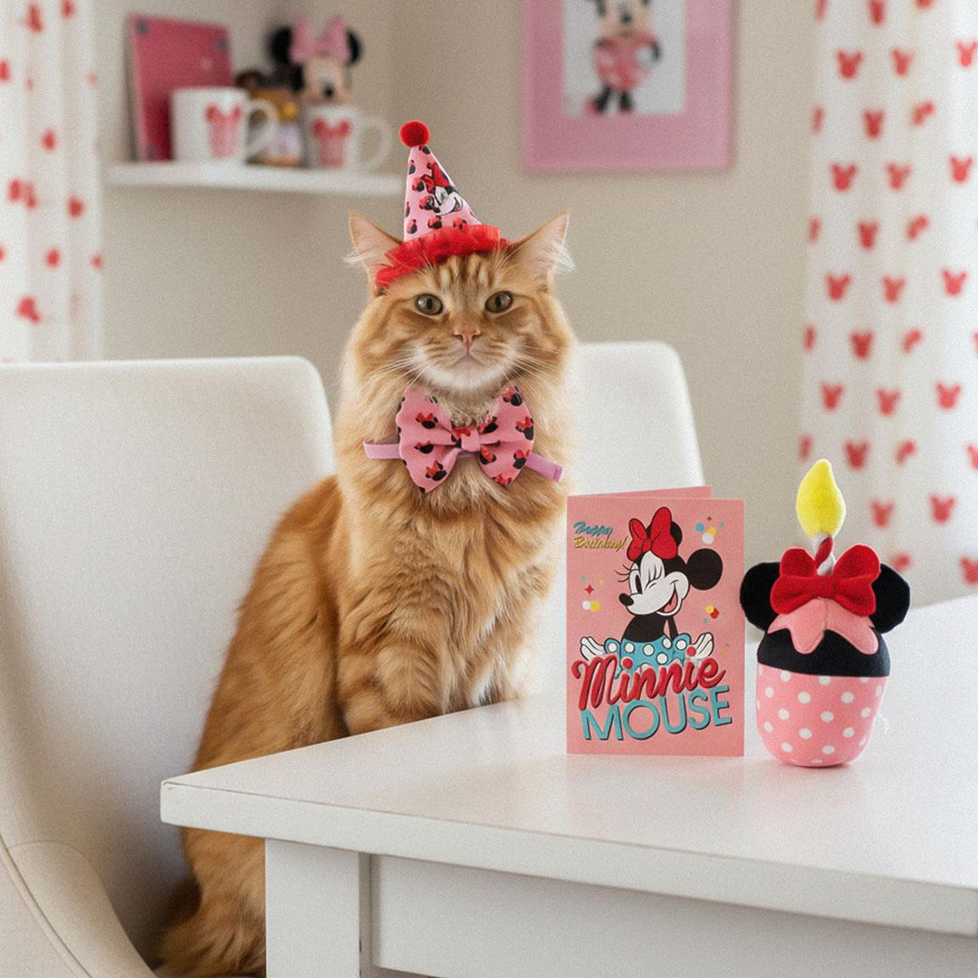 Disney - Set di Compleanno Minnie