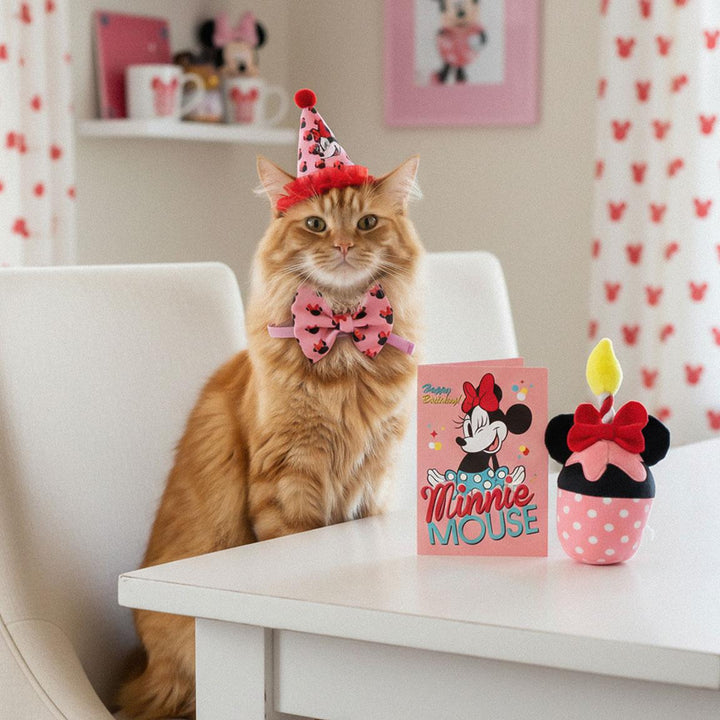 Disney - Set di Compleanno Minnie