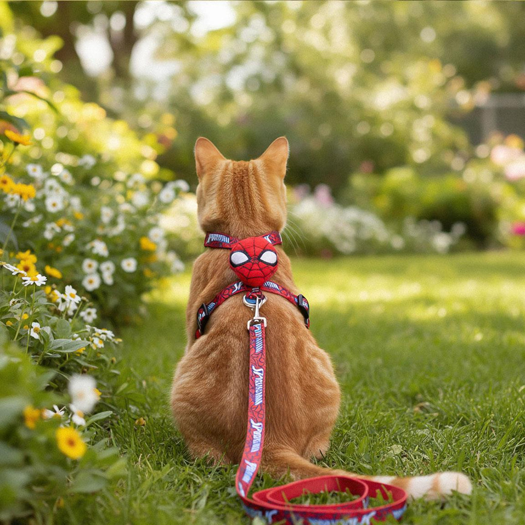 Marvel - Set Pettorina + Guinzaglio Spiderman