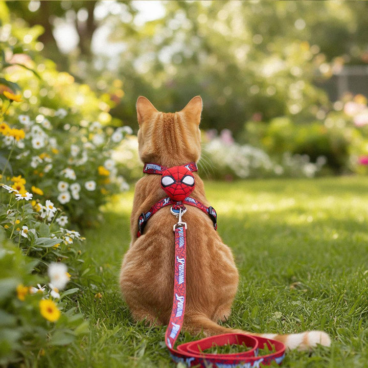 Marvel - Set Pettorina + Guinzaglio Spiderman