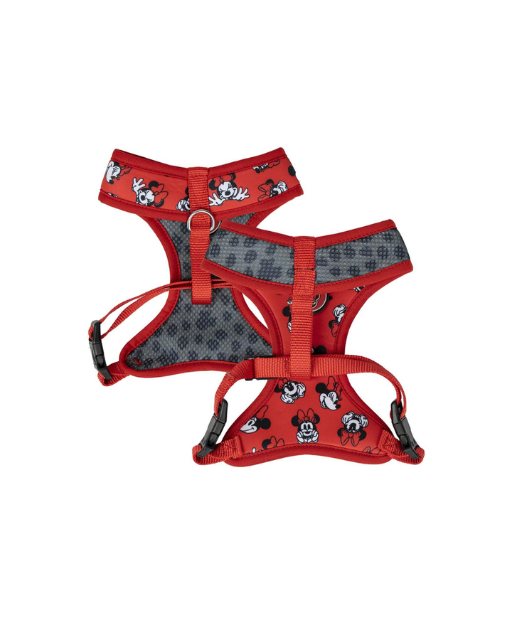 Disney - Pettorina Premium Double Face per Cani M/L Minnie