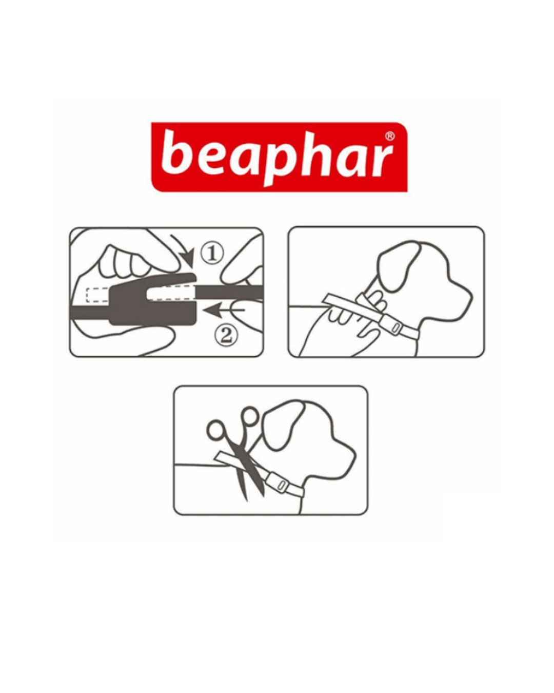 Beaphar Canishield - Collare Antiparassitario Per Cani Di Taglia Piccola e Media - Confezione x2 Collari