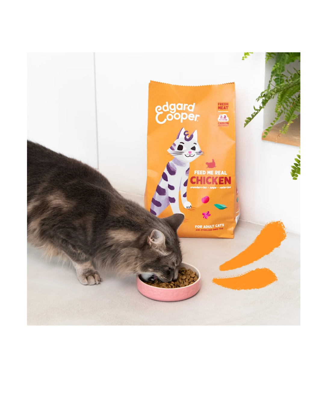 Edgard & Cooper - Cat Adult Grain Free - Pollo Fresco 2 kg