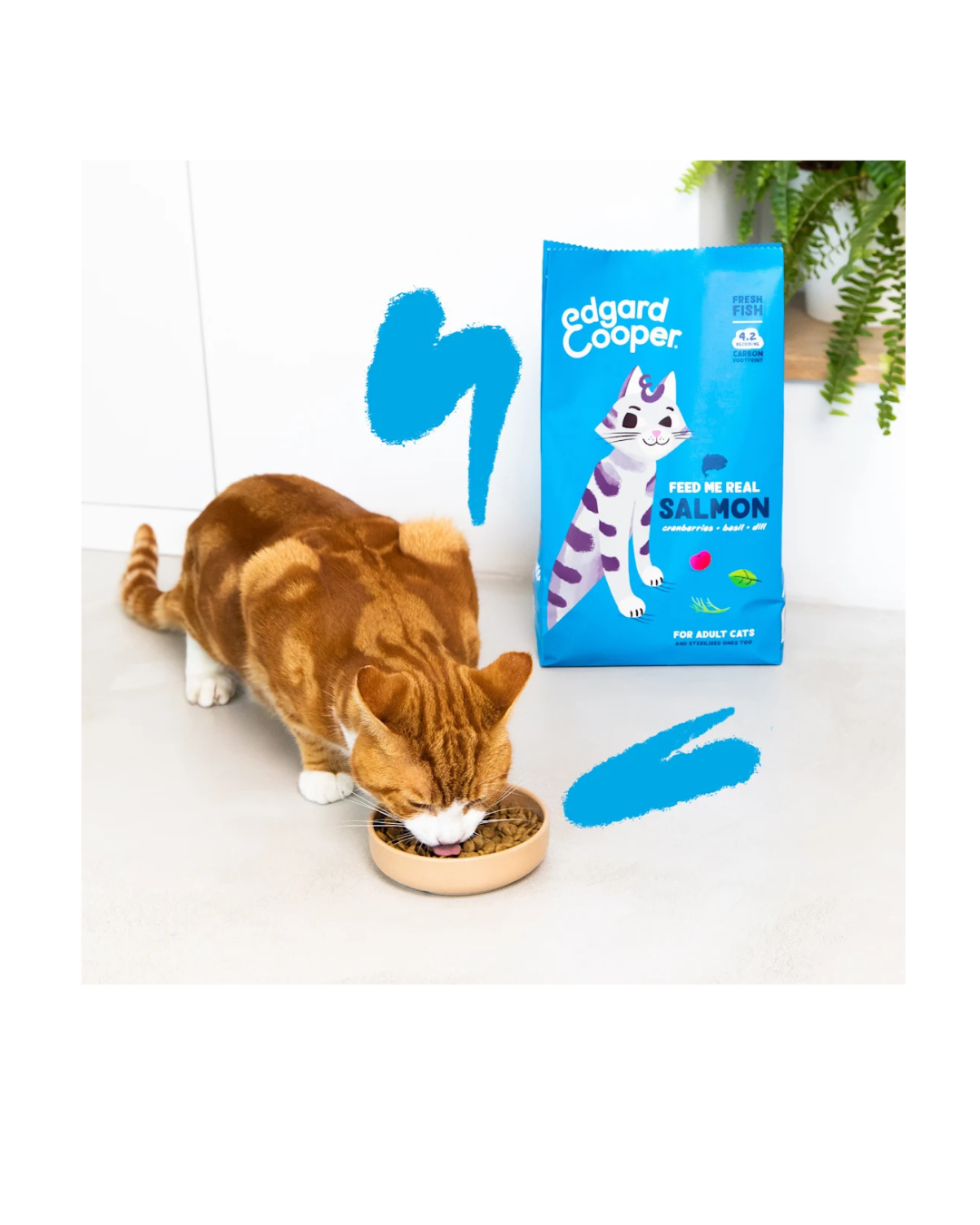 Edgard & Cooper - Cat Adult Grain Free - Salmone Fresco 325 g