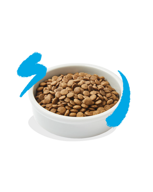 Edgard & Cooper - Cat Adult Grain Free - Salmone Fresco 325 g