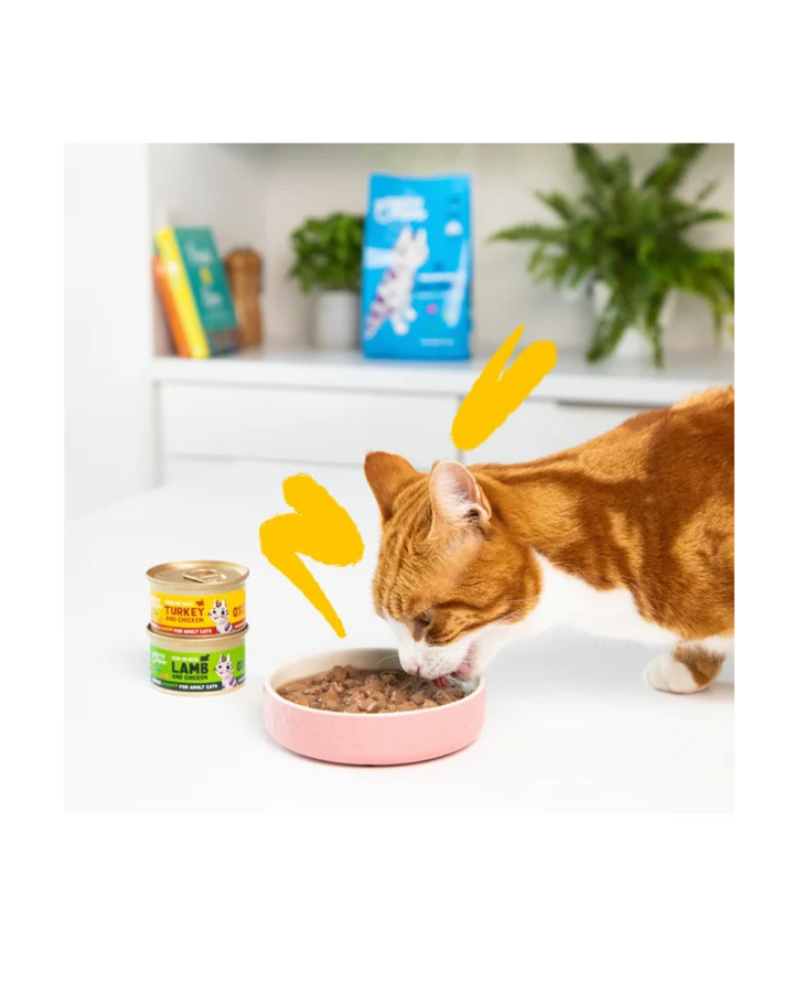 Edgard & Cooper - Cat Adult Grain Free Agnello e Pollo Bocconcini in Salsa 85 g