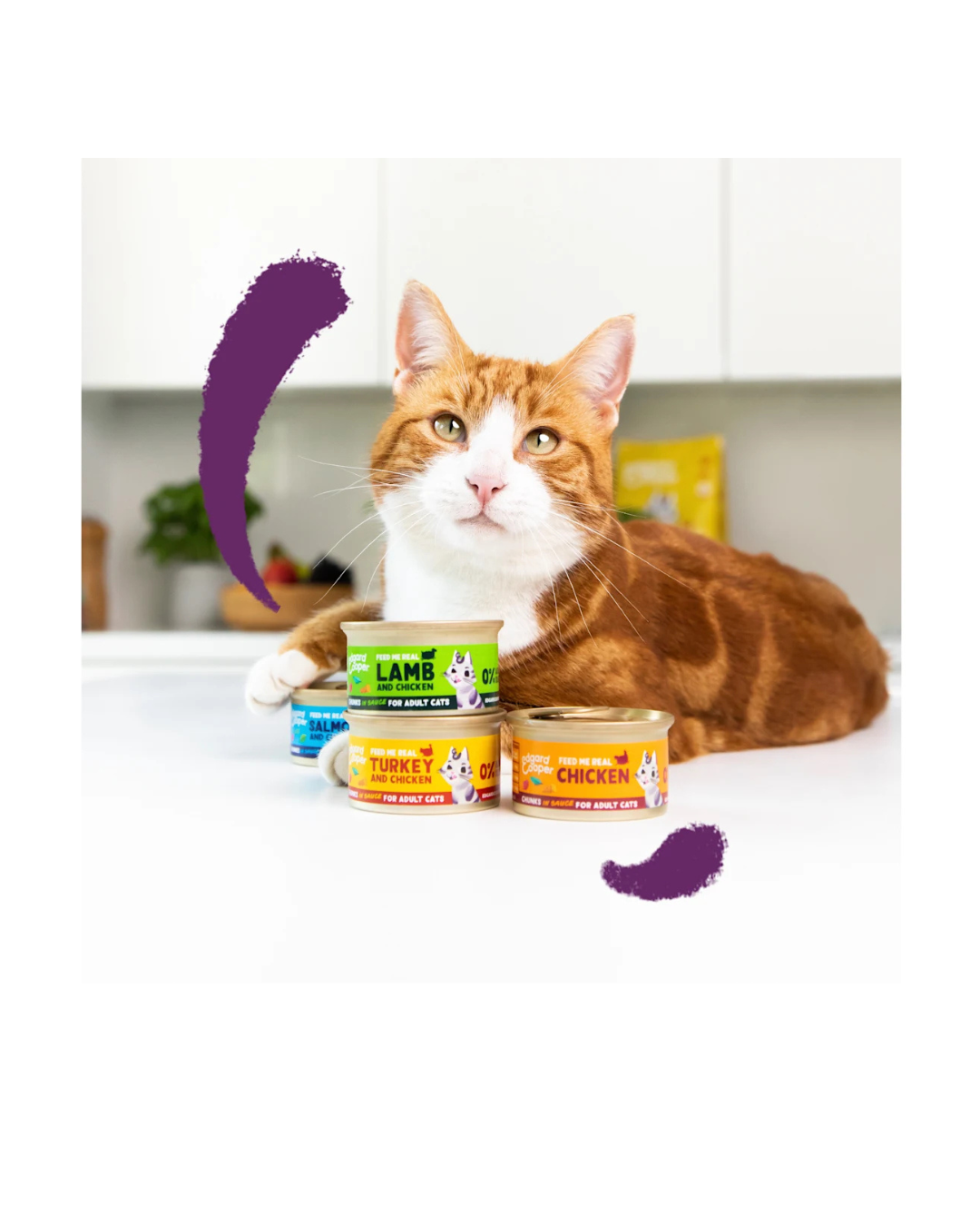 Edgard & Cooper - Cat Adult Grain Free Salmone e Pollo Bocconcini in Salsa 85 g