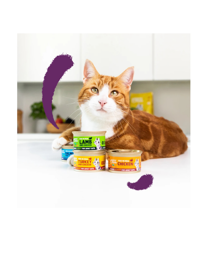 Edgard & Cooper - Cat Adult Grain Free Salmone e Pollo Bocconcini in Salsa 85 g