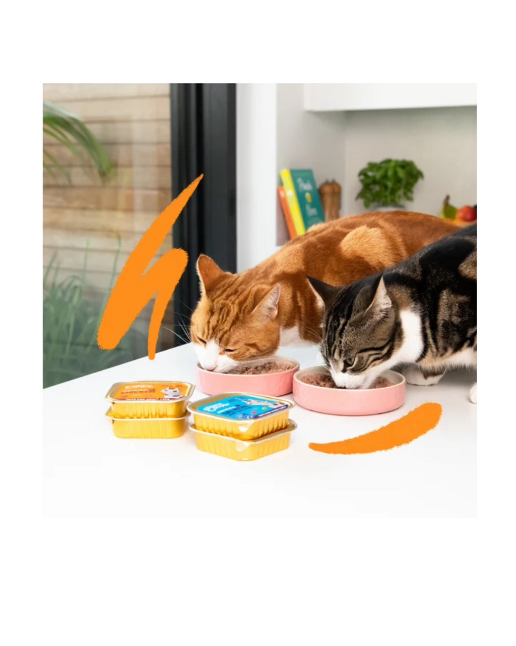 Edgard & Cooper - Cat Adult Grain Free Salmone e Pollo Patè 85 g