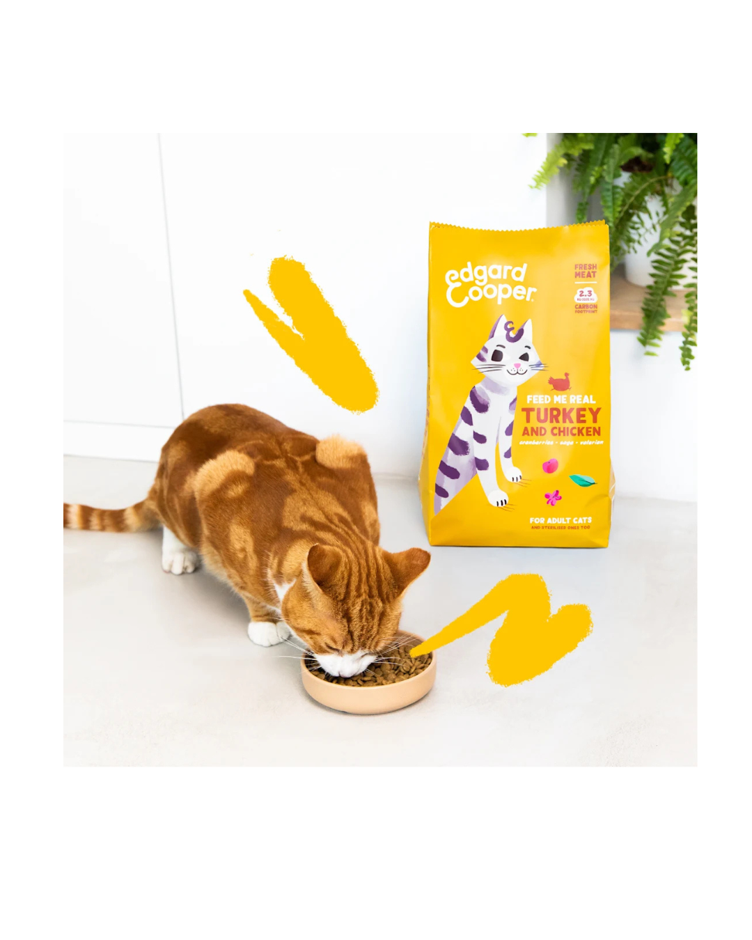 Edgard & Cooper - Cat Adult Grain Free Tacchino e Pollo 2 kg