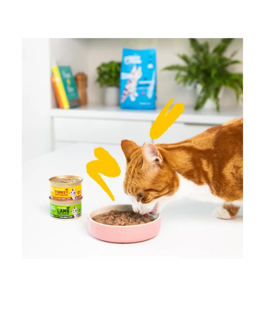 Edgard & Cooper - Cat Adult Grain Free Tacchino e Pollo Bocconcini in Salsa 85 g