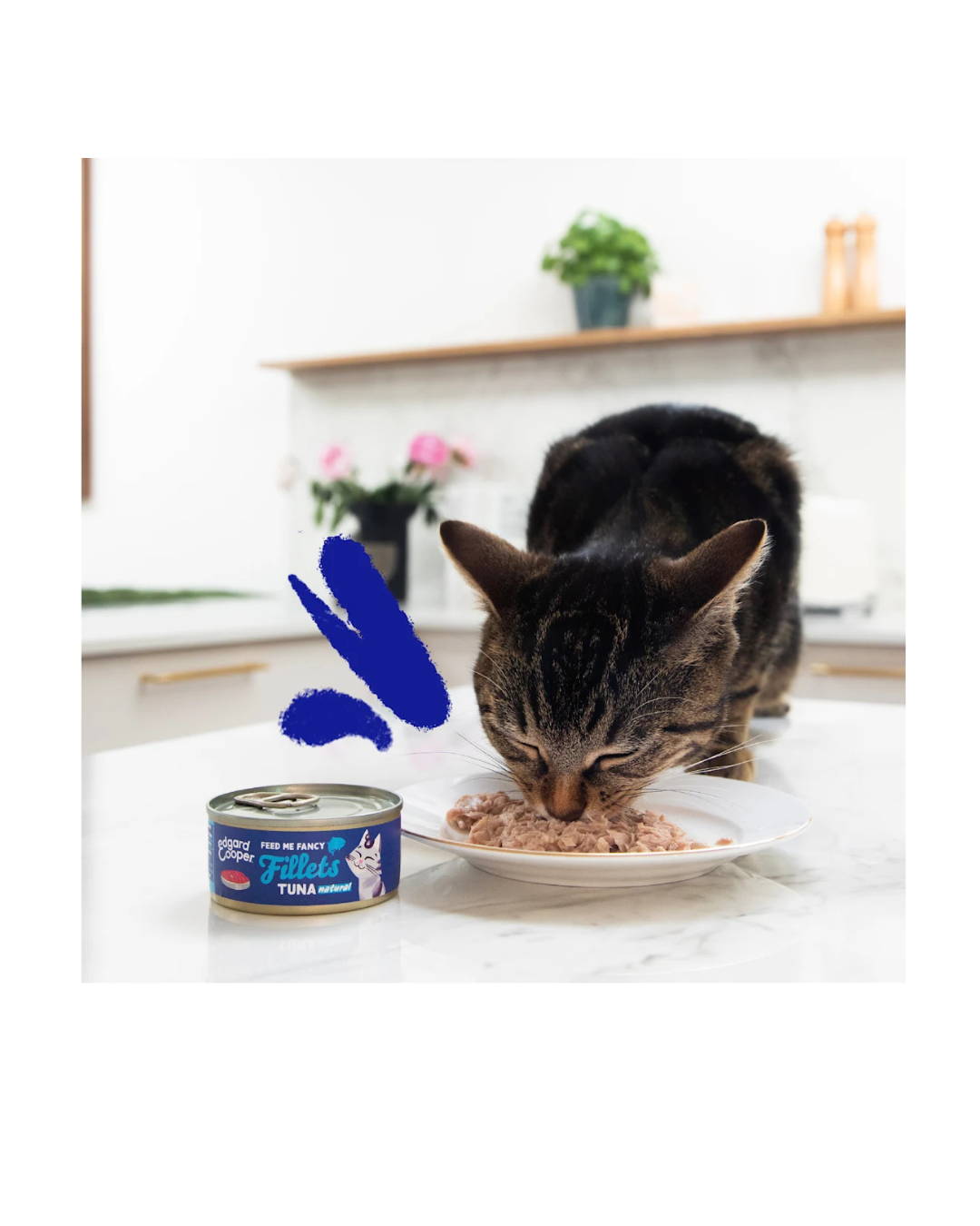 Edgard & Cooper - Cat Grain Free Tonno Sfilaccetti 70 g