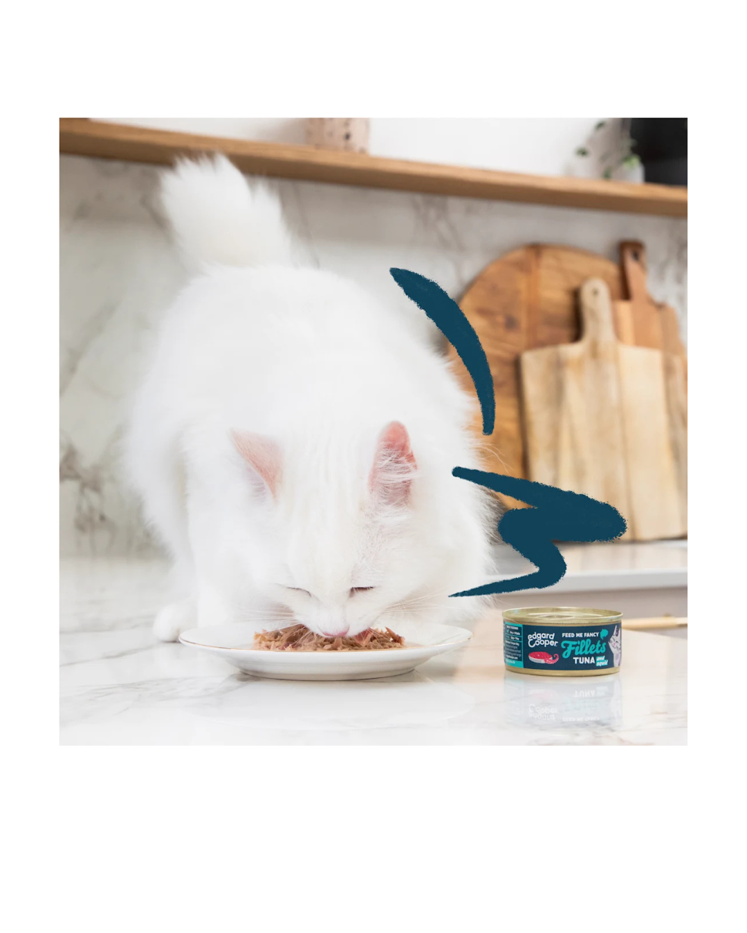 Edgard & Cooper - Cat Grain Free Tonno e Calamari Sfilaccetti 70 g