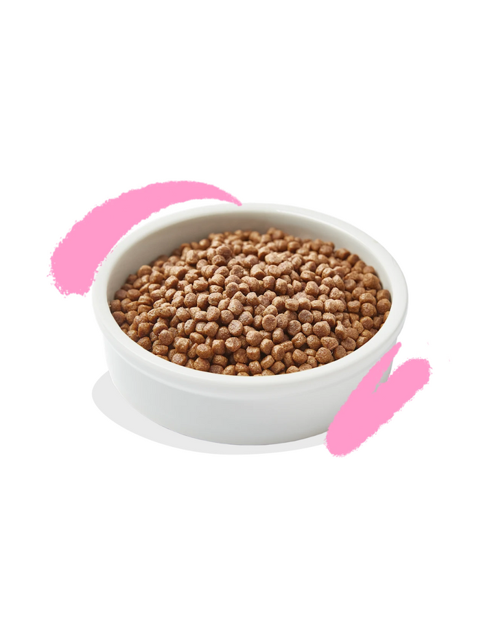 Edgard & Cooper - Cat Kitten Grain Free - Anatra e Pollo freschi 2 kg