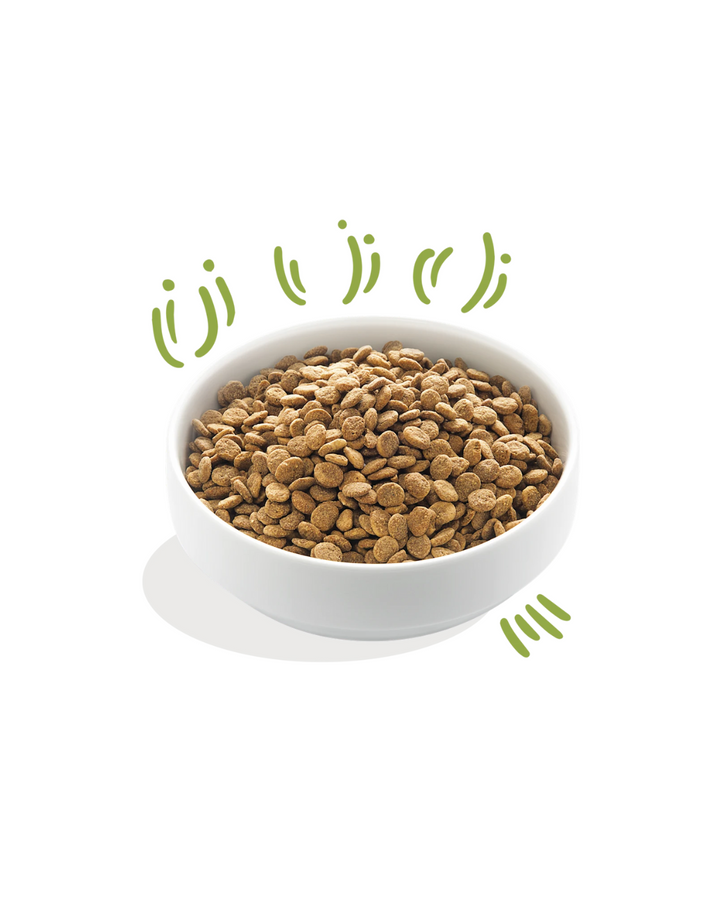 Edgard & Cooper - Dog Adult Grain Free Agnello (nutrito a erba) 2,5 kg