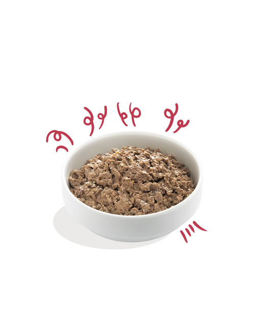 Edgard & Cooper - Dog Adult Grain Free Manzo Biologico 100 g