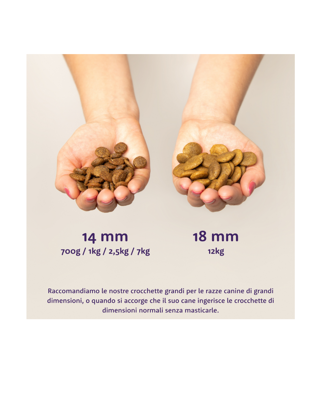 Edgard & Cooper - Dog Adult Grain Free Pollo (allevato a terra) 2,5 kg