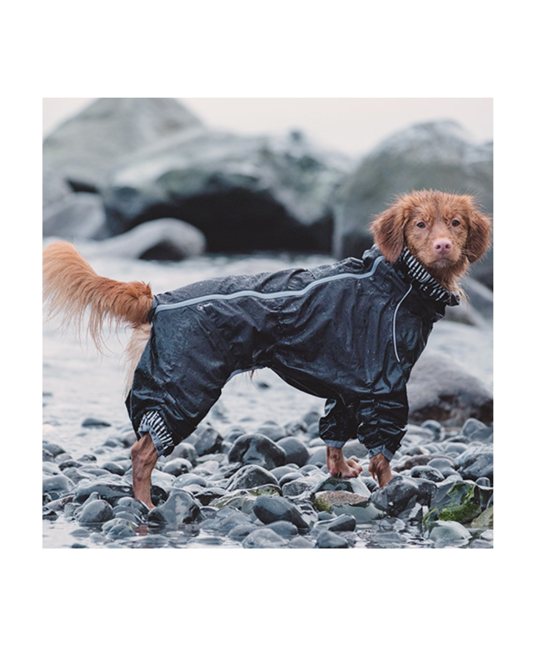 HURTTA - Impermeabile per Cani Downpour Suit Nero 35cm(Lunghezza Dorso)