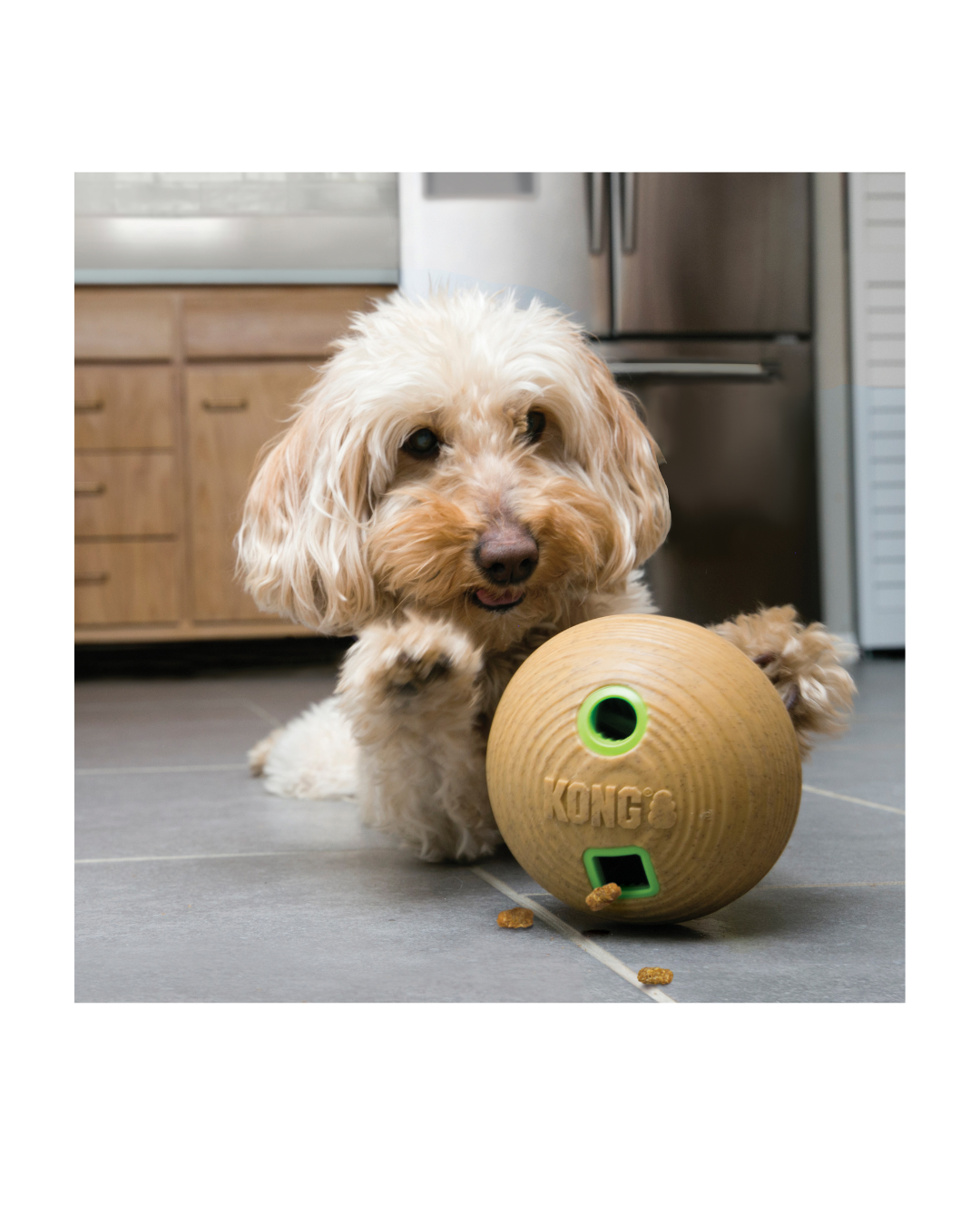 KONG - Bamboo Feeder Ball Medium